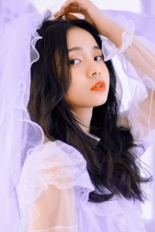 至上之法